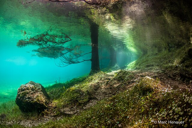 7 удивительных фотографий парка под водой