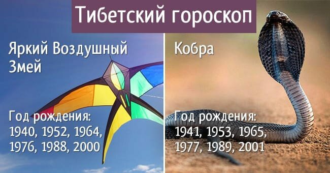 Узнай свою судьбу по году рождения! Тибетский гороскоп