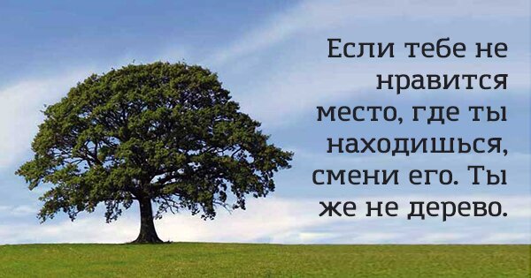 16 забавных картинок, которые научат вас проще относится к жизни