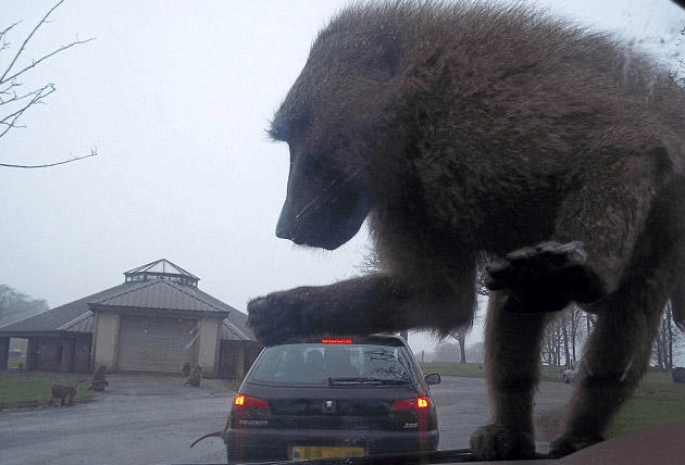 17 странных фотографий, сделанных в нужное время