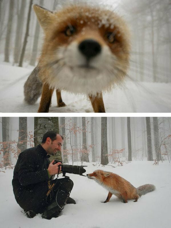 Как создаются самые красивые фотографии - вот что происходит за кадром